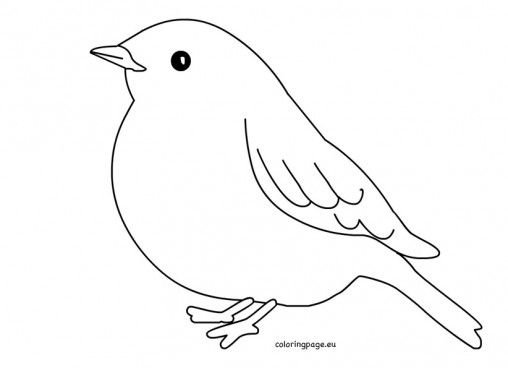 Птичка раскраска