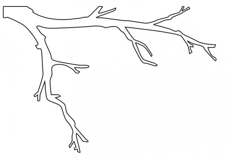 Трафарет ветки