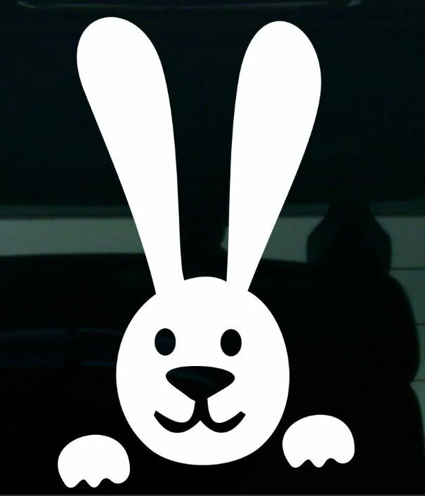 Заяц выглядывает