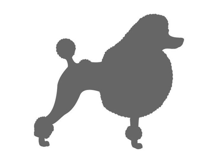 Трафареты собаки