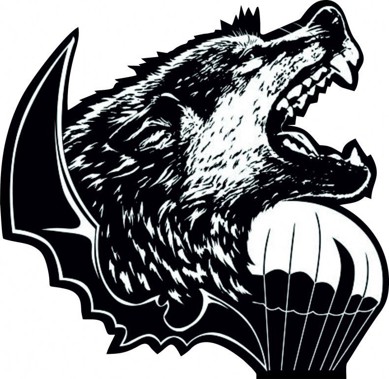 45 Полк спецназа ВДВ Шеврон с волком