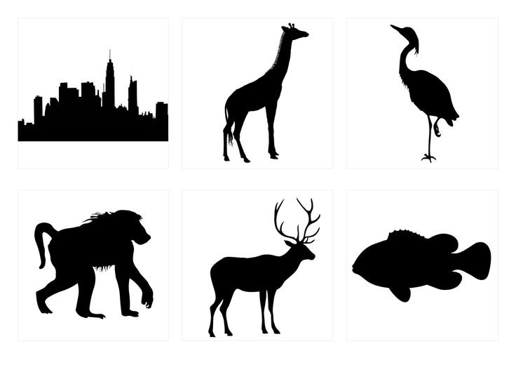 Силуэты животных