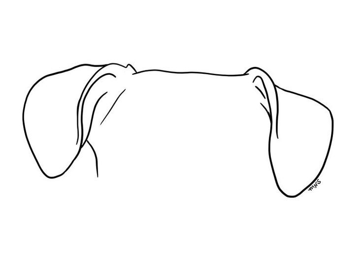 Собачьи уши контур
