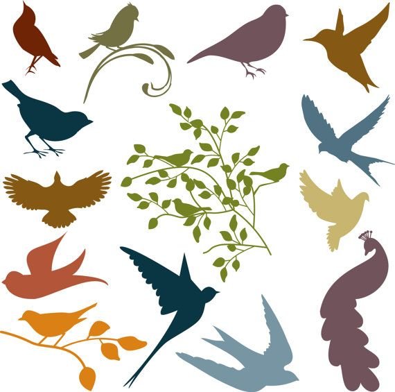 Цветные силуэты птиц