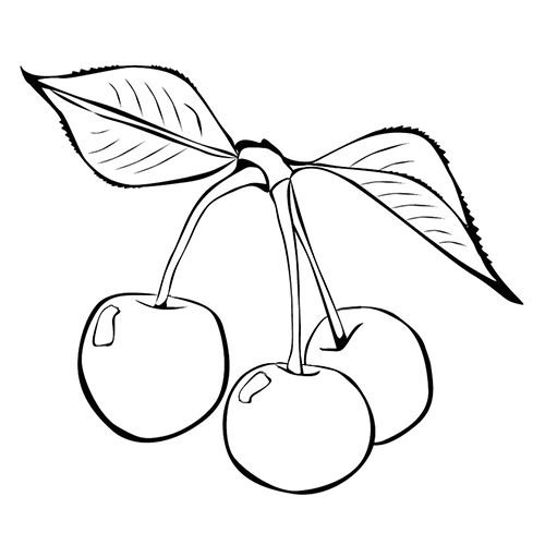 Вишня раскраска для детей