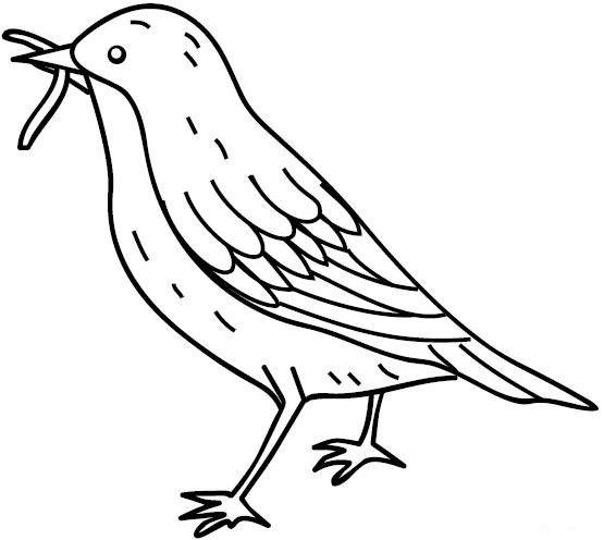 Птичка раскраска для детей