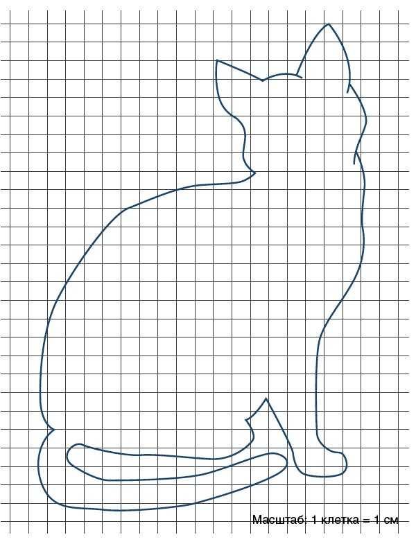 Котик чертеж