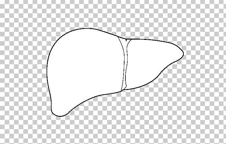 Печень раскраска