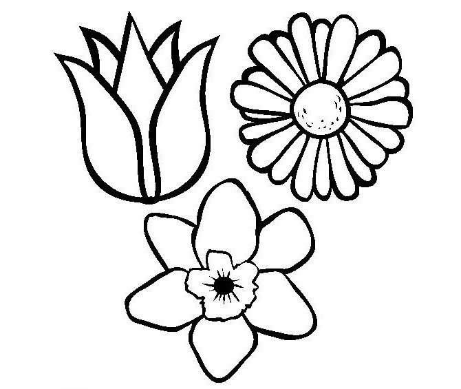 Цветы. Раскраска