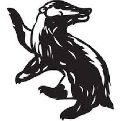 Барсук Хаффлпафф