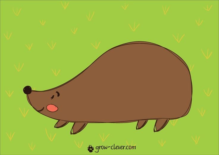 Ёжик без иголок картинка для детей