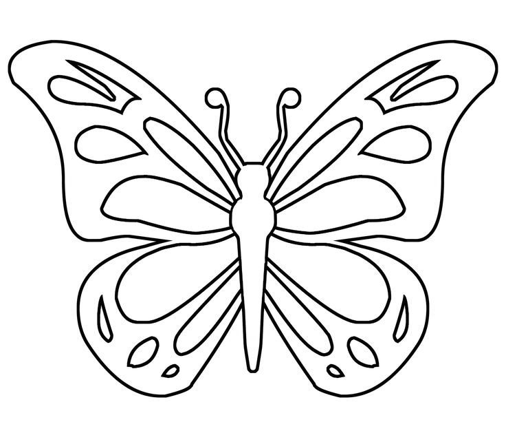 Раскраска "бабочки"