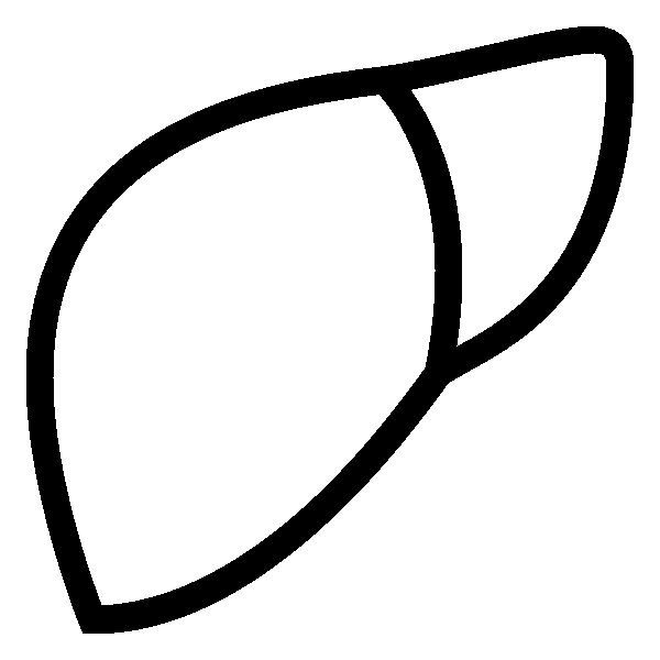 Печень трафарет