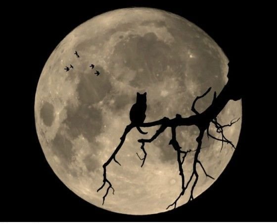 Луна иллюстрация