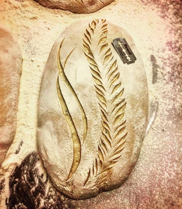 Надрезы на хлебе