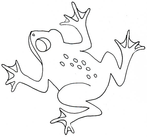 Лягушка раскраска