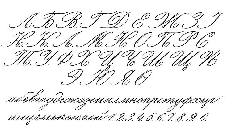 Телеграфический почек