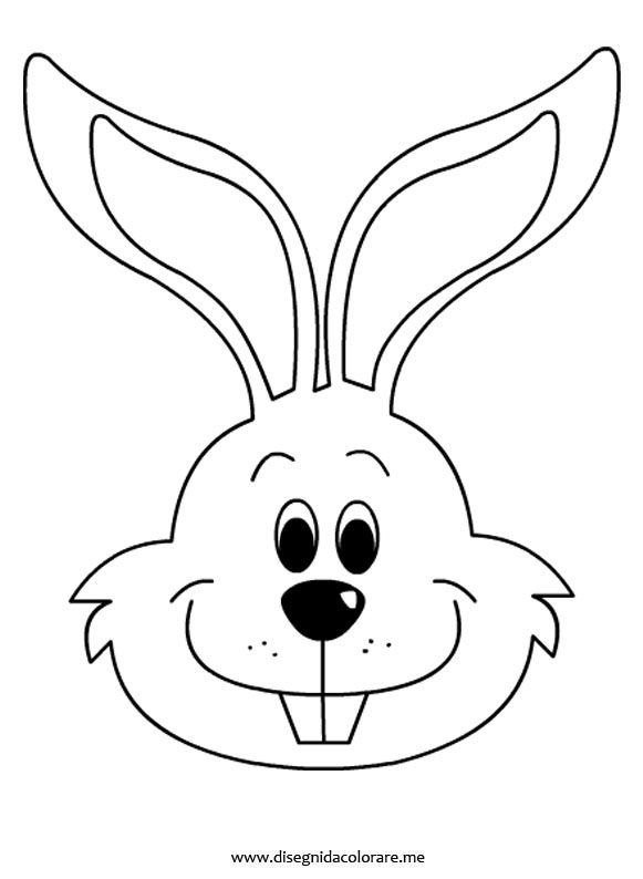 Мордочка зайца