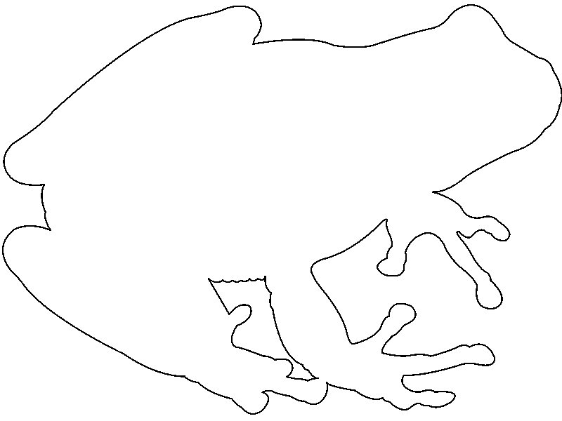Жаба контур для детей