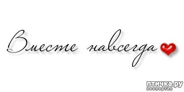 Вместе навсегда надпись
