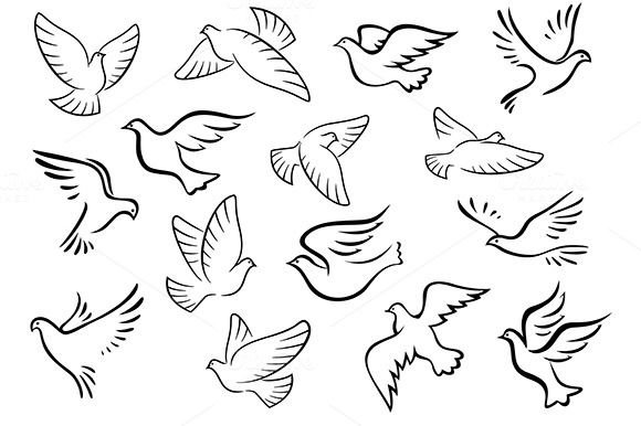 Птица в полете контур