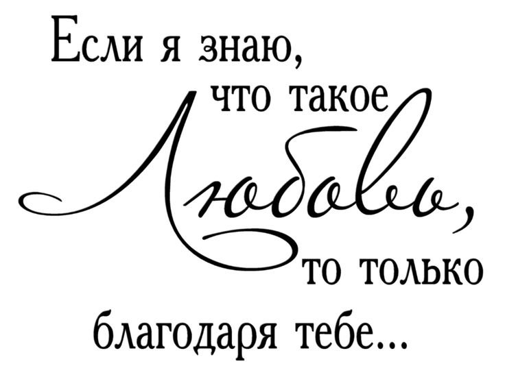 Красивые фразы