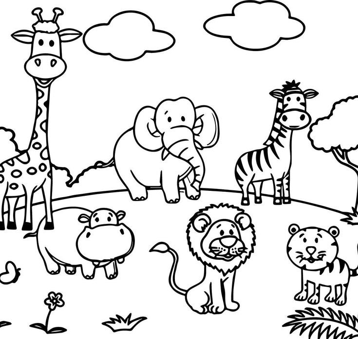 Живые раскраски