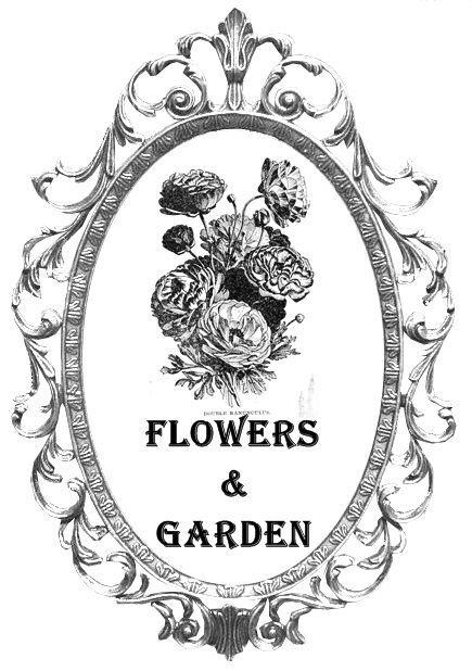 Винтажные монохромные надписи