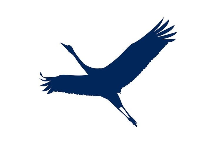 Силуэт птицы в полете