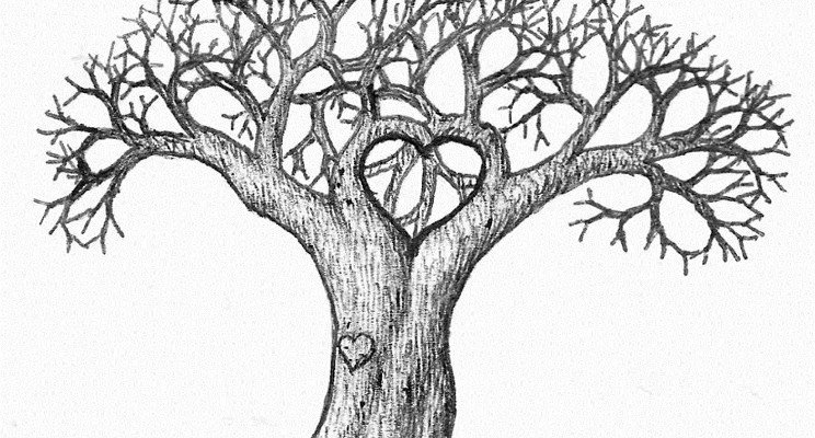 Дерево рисунок