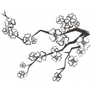 Сакура рисунок