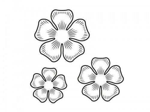 Цветы трафарет для вырезания