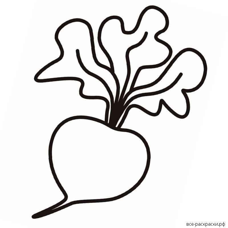 Редиска трафарет