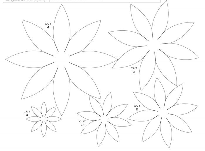 Цветок шаблон