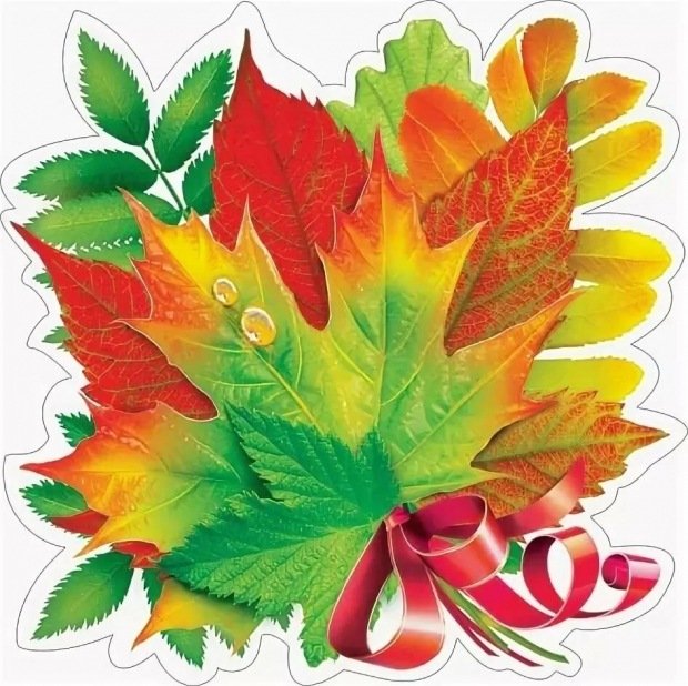 Разноцветные листья