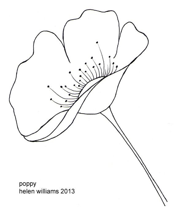Мак раскраска