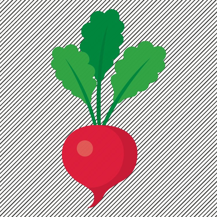 Редиска рисунок для детей