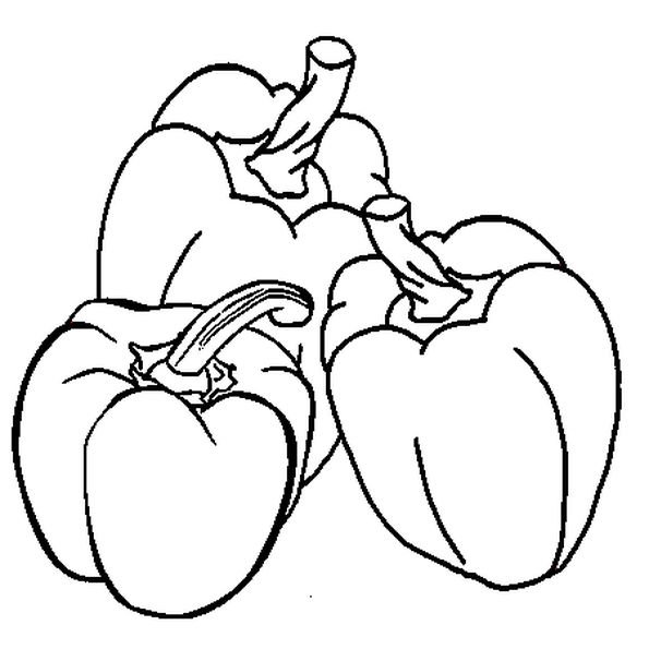 Перец раскраска для детей