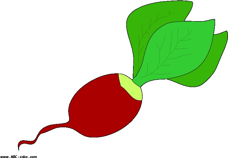 Редис для детей