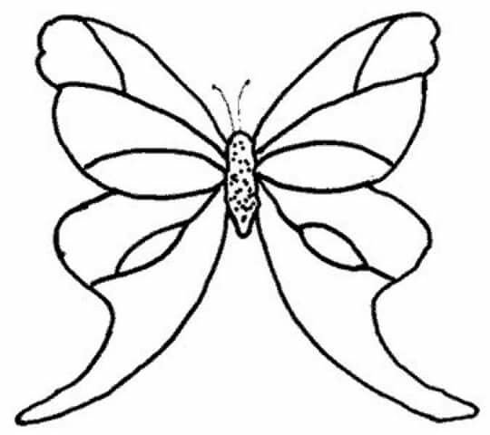 Шаблон бабочки