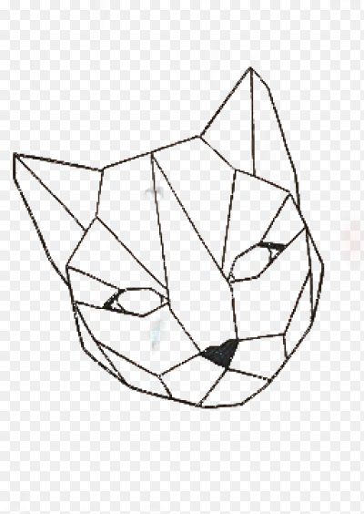 Кот геометрия