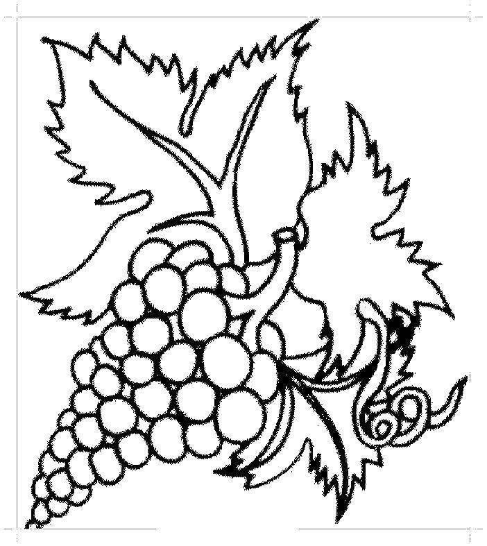 Раскраски фрукты виноград