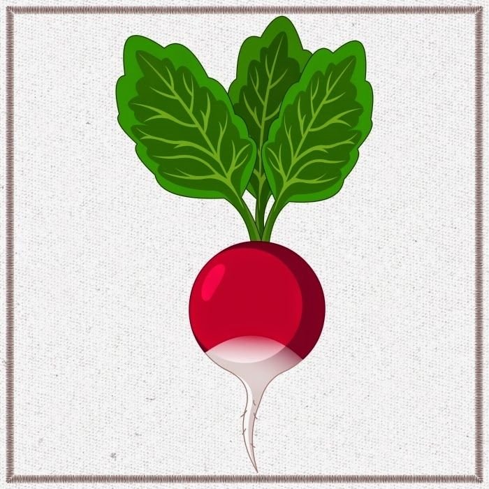 Дошкольникам про редис