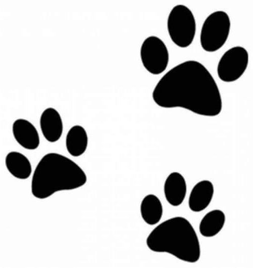 Трафарет лапки