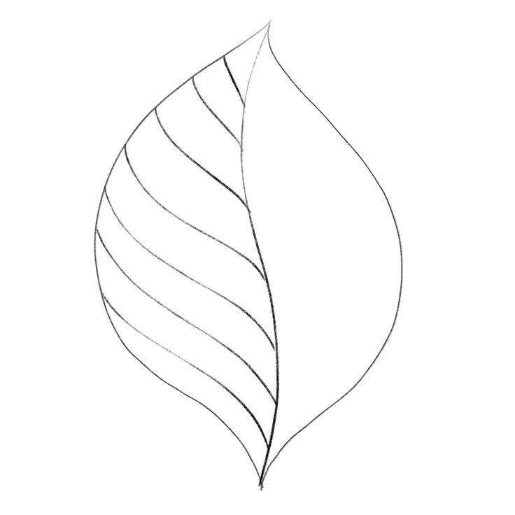 Листья рисунок