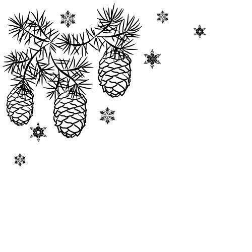 Раскраска Еловая ветка с шишками