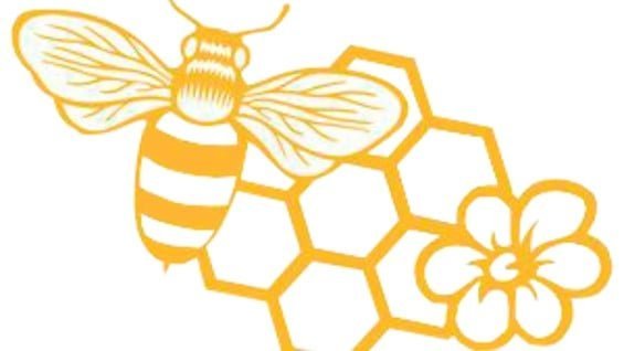 Трафарет сот