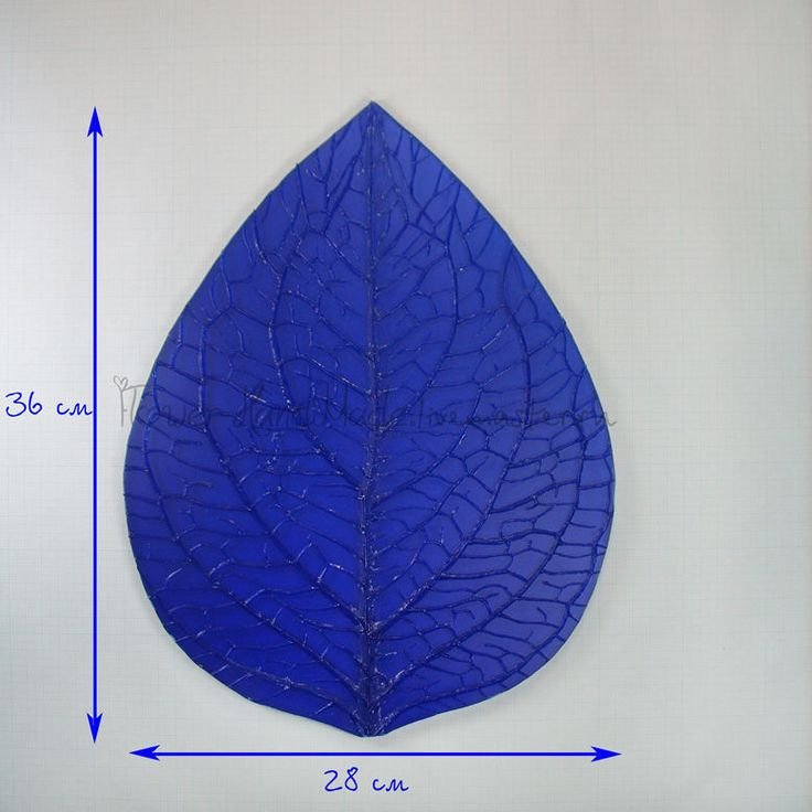 Формы лепестков цветов