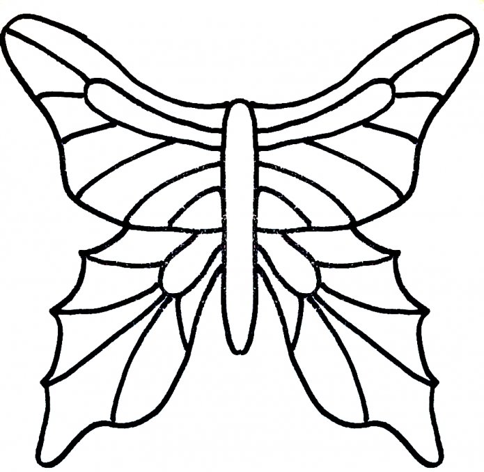 Шаблоны бабочек и пластиковых бутылок