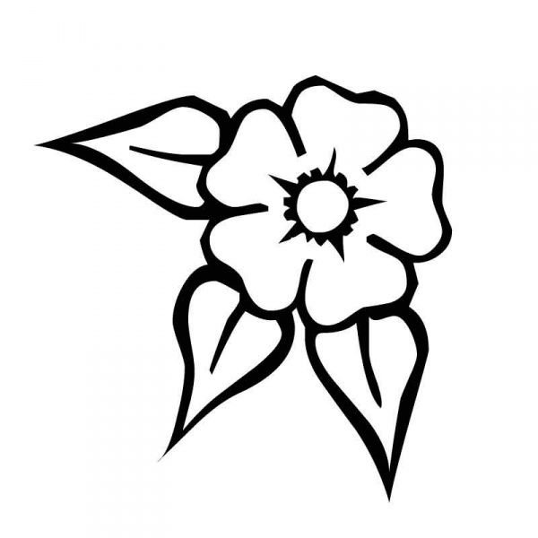 Цветы трафарет для рисования